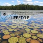 Anna Lake Invasive Species
